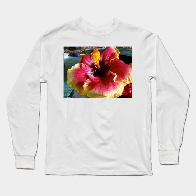 Perfection Long Sleeve T-Shirt by jennyleeandjim